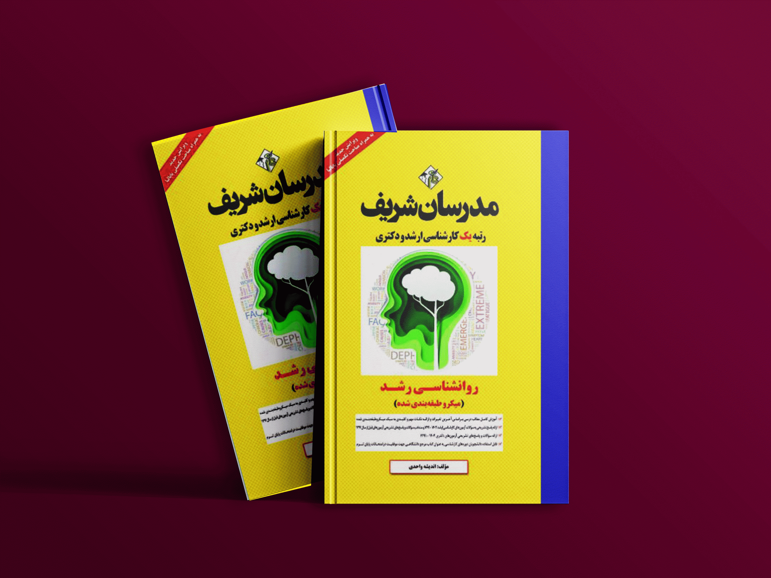 دانلود کتاب ارشد و دکتری روانشناسی رشد مدرسان شریف